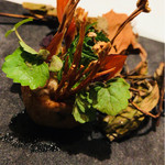 ア・ニュ ルトゥルヴェ・ヴー - 