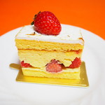 ピュイサンス - フレジエ