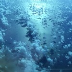 Trib's Cafe - 赤道上空を通過