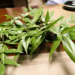 山ごぼう - おしぼり