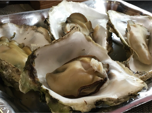 大船渡 屋形船 潮騒（大船渡 屋形船 しおさい） - 陸前赤崎（屋形船・クルージング）の写真