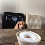 発酵Restaurant&cafe Hinemos - 