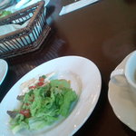 エバーグリーン