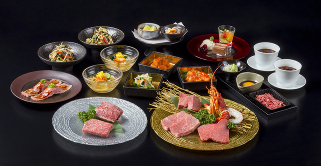Loites レストラン 飲食店の検索 焼肉トラジウィング川崎店 Loites レストラン 飲食店の検索 焼肉トラジウィング川崎店