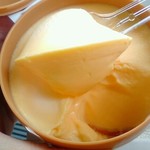 Toyonchino Tamago - 