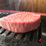 シャトーちゃん♡