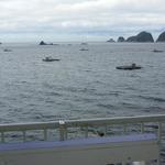 ボートカフェ - 晴れてれば最高かも