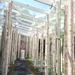 ピエトリ－ノ - 