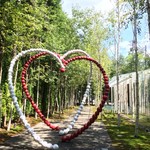 ピエトリ－ノ - 