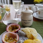 MANDARIN ORIENTAL - 壺に入った可愛いヨーグルト