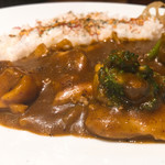【カレー専門店】円山教授。 - しびれ鶏カレー