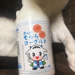 ヨーグルトハウス - ホルスタイン柄のネコと