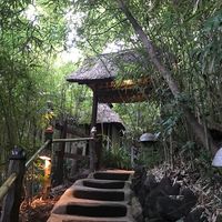 九つ井 本店 - 