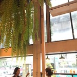 BROCCOLI REVOLUTION - 