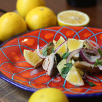 フィーコディンディア