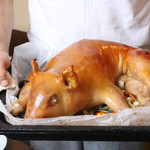 フィーコディンディア