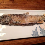 信州マタギ亭 - 純天然イワナ