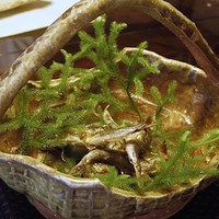 比良山荘 - 