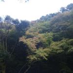 ヴィラージュ - 