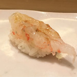 すし善 - ボタンエビ