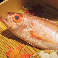 のどぐろ専門 銀座 中俣 - 
