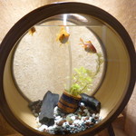 お料理 とみやま - 入口には可愛い金魚