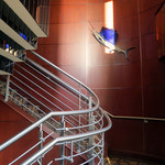 The Oceanaire Seafood Room - 店内