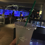 ペンギンカフェ - 