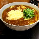 Tanaka An - チーズ天カレー南蛮 \1480+大盛り\20