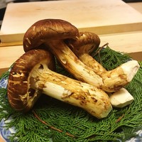 麻布十番 ふくだ - 中国雲南省の松茸