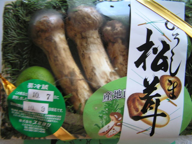 スミヨシ 広島駅キヨスク売店・松茸販売 （松茸販売） - 広島