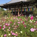 ドン．チードル - 