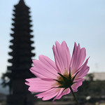 ドン．チードル - 