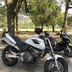 ドン．チードル - 