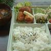 豆の樹 豆の樹