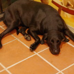 九份礦工餐廳 - 