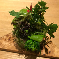 SIO syuji hijikuro - 