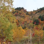 八幡平山頂レストハウス - 【2017.10月上旬】八幡平アスピーテラインからの景色②