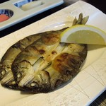 琵琶湖畔 おごと温泉 湯元館 - 近江鮎