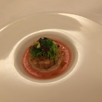 洋食 ヨコオ - 