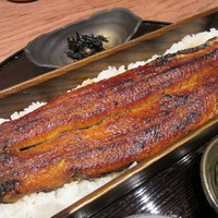 うなぎ 四代目 菊川 グローバルゲート店 - 