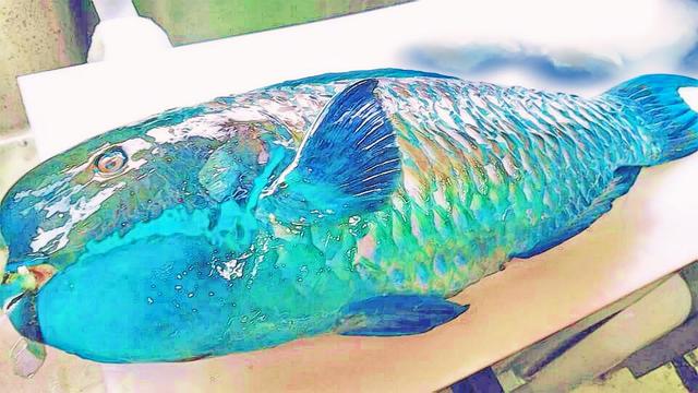 沖縄ぬ隠れ家 NI-NI 長島店（ニーニー） - 青森（居酒屋）の写真