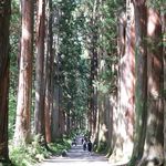 うずら家 - 戸隠神社_奥社_参道