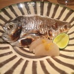 ファンクラブ - 