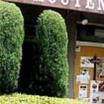 ウチョウテン - UCHOUTEN