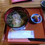Hayamegawa - ヌードル茶漬け
