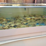 원조마산아구찜본점 - 