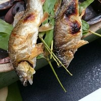 奥貴船 兵衛 - 