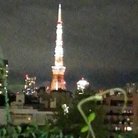 ダルマット 六本木ヒルズ店 - 