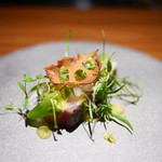 TACUBO - 鰆のカルパッチョ